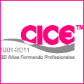 Cursos de Verano Madrid : CICE Desarrollo, Comunicaciones e Imagen Digital