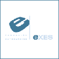 Cursos de Inform�tica y Comunicaciones | Masters en Inform�tica y Comunicaciones On line : EXES