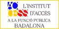 Curso de Professor d�Educaci� Vial. Presencial Badalona  : L�Institut D�Acc�s a la Funci� P�blica Badalona