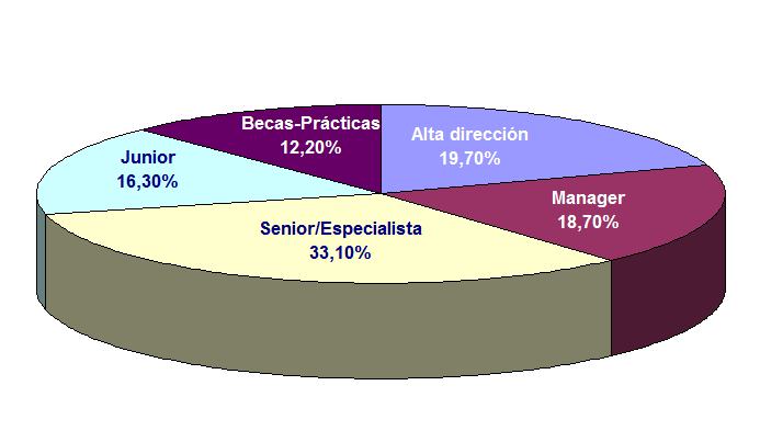 Categoría de los puestos laborales noticiaAMP