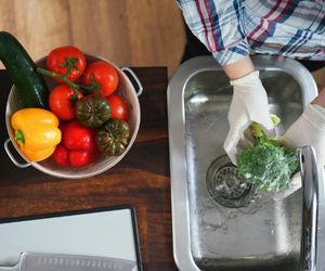 imagen Certificado de manipulador de alimentos: qué es y cómo obtenerlo